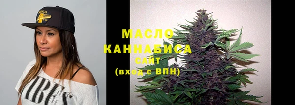 гидра Костерёво