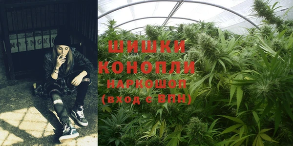 мяу мяу кристалл Корсаков