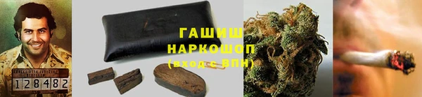 гидра Костерёво
