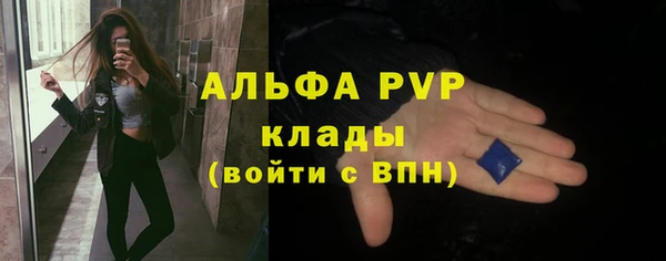 молекула духа Козельск