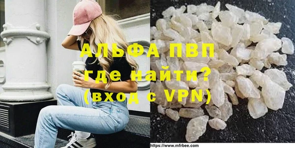 молекула духа Козельск